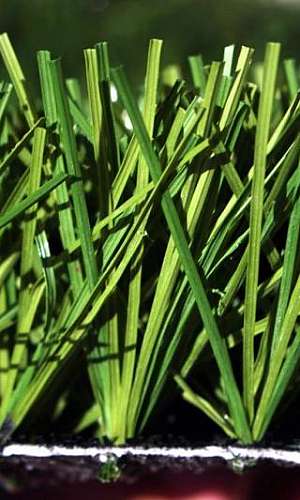 Fornecedor de grama sintética Fornecedor de grama sintética